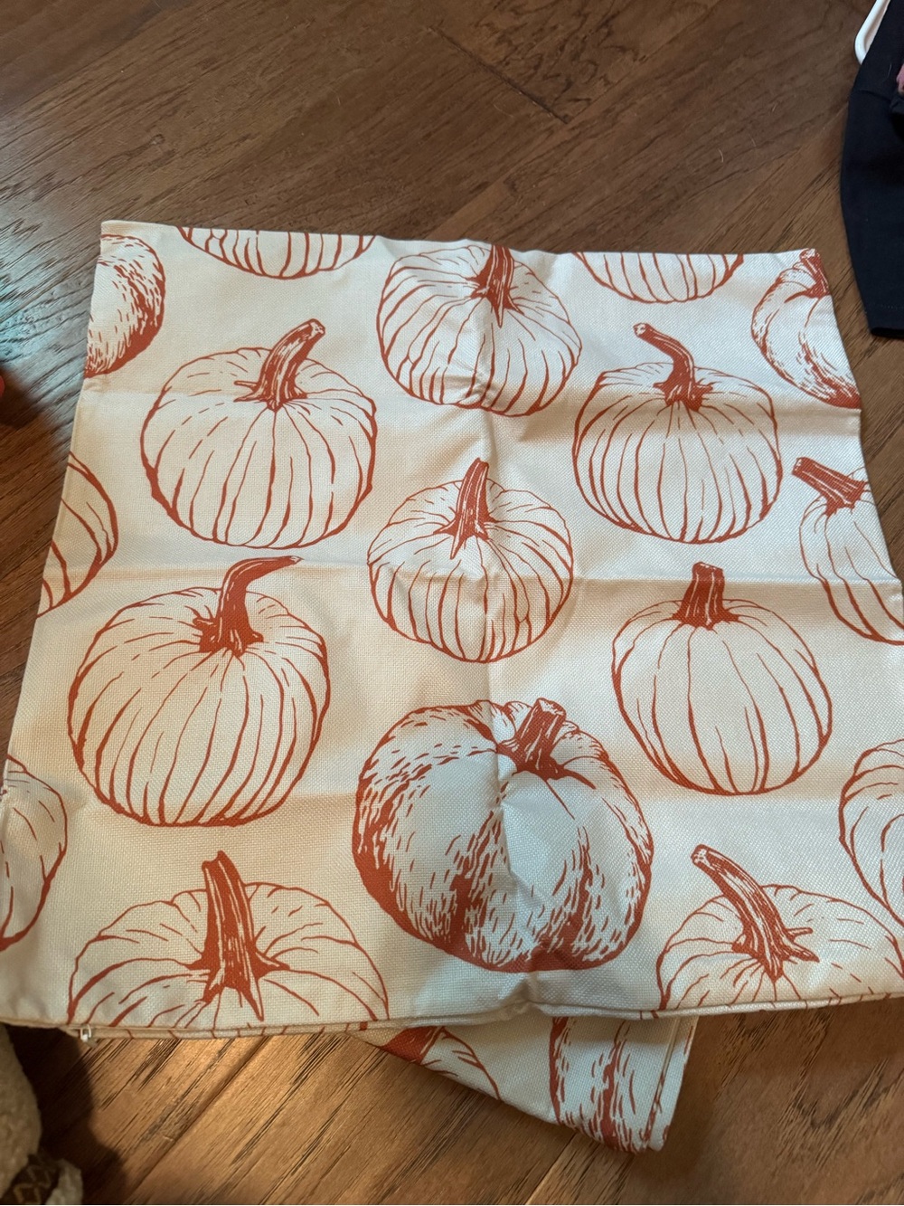 Pumpkin Print Decorative Throw Pillow Cover - Cream & Rust